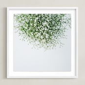 "Gypsophila" - Art Print in emerald green by Marabou Design - Framed