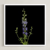 "stunning summer" - Art Print in purple by raven erebus - Framed