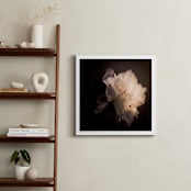 "A White Peony" - Art Print in sublte color by Qing Ji - In a Room