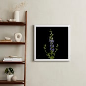 "stunning summer" - Art Print in purple by raven erebus - In a Room
