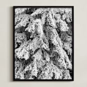 "Frost 3" - Art Print in Black & White by Ardell McLennan - Framed