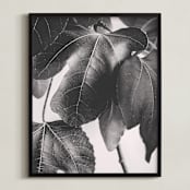 "Gather & Gaze" - Art Print in Matte Black by Alicia Youngken - Framed