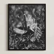 "Beneath Your Feet" - Art Print in Black and White by Catherine Culvenor - Framed