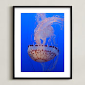 "Jelly 2" - Art Print in aquarium blue by Sea and Sky - Framed