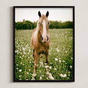 "Horse In Field of Flowers" - Art Print in brown by Alexis Arnold - Framed