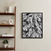 "Frost 3" - Art Print in Black & White by Ardell McLennan - In a Room