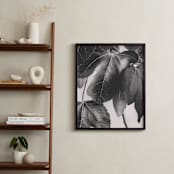 "Gather & Gaze" - Art Print in Matte Black by Alicia Youngken - In a Room