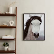"Winter Horse" - Art Print in white by ALICIA BOCK - In a Room