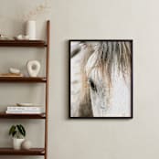 "Wild Horse Eye" - Art Print in Cafe Cream by Michelle Detering - In a Room
