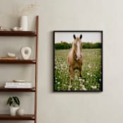 "Horse In Field of Flowers" - Art Print in brown by Alexis Arnold - In a Room