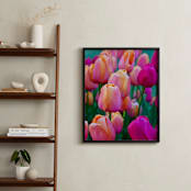 "Springtime Tulips" - Art Print in tulips pink by Sea and Sky - In a Room