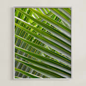 "Simply Seaside" - Art Print in Palm Green by Jonathan Brooks - Framed
