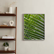 "Simply Seaside" - Art Print in Palm Green by Jonathan Brooks - In a Room