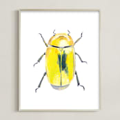 "Golden Scarab Beetle" - Art Print in Gold by Holly Whitcomb - Framed