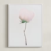 "Budding Peony" - Art Print in Pale Peony by jinseikou - Framed Canvas