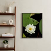 "Water Whimsy" - Art Print in Lily by Three Wings North - In a Room