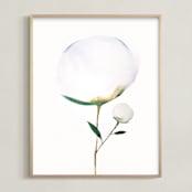 "Blooming Peony 01" - Art Print in Misty Blue by jinseikou - Framed
