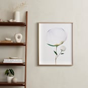 "Blooming Peony 01" - Art Print in Misty Blue by jinseikou - In a Room