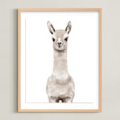 "Baby Animal Llama" - Art Print in Milky foam by Cass Loh - Framed