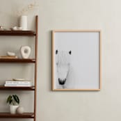 "Dalla" - Art Print in white by Irene Suchocki - In a Room