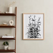 "Silverlace Fern" - Art Print in Black and White by Field and Sky - In a Room