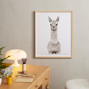 "Baby Animal Llama" - Art Print in Milky foam by Cass Loh - In a Room