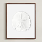"Modern Sand Dollar" - Art Print in Ice Grey by Artsy Canvas Girl Designs - Framed
