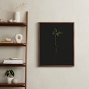 "Seedling Elm I" - Art Print in Deep Elm by Andrew McClintock - In a Room
