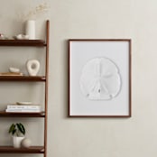 "Modern Sand Dollar" - Art Print in Ice Grey by Artsy Canvas Girl Designs - In a Room