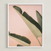 "Pink Banana Leaves" - Art Print in Salmon Pink by ARIANE MOSHAYEDI - Framed