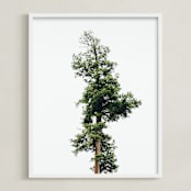 "Solo" - Art Print in spring rain by Kamala Nahas - Framed