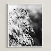 "Dancing grass II" - Art Print in Shadow by Magdalena Kucova - Framed