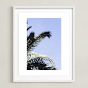 "Palm II" - Art Print in Sky Blue by Annie Montgomery - Framed