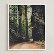 "Walk Into the Woods" - Art Print in Forest Brown by Bente Jorgensen-Barajas - Framed