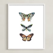 "Butterfly Colorful Watercolors" - Art Print in Butterfly wing black by Lauren Rogoff - Framed