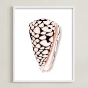"Modern Marble Cone Shell" - Art Print in Misty Rose by Artsy Canvas Girl Designs - Framed