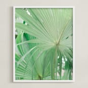 "Yucatan VII" - Art Print in Jungle Green by Lindsay Ferraris Photography - Framed