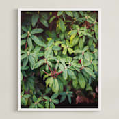 "Northwest Greens" - Art Print in Avocado Green by CedarandGrey - Framed