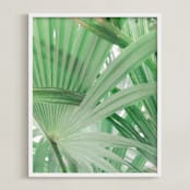 "Yucatan I" - Art Print in Tropical Green by Lindsay Ferraris Photography - Framed