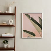 "Pink Banana Leaves" - Art Print in Salmon Pink by ARIANE MOSHAYEDI - In a Room