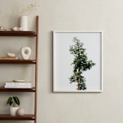 "Solo" - Art Print in spring rain by Kamala Nahas - In a Room