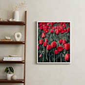 "Red Tulips" - Art Print in Red by Lucila Naves - In a Room
