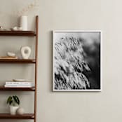 "Dancing grass II" - Art Print in Shadow by Magdalena Kucova - In a Room