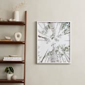 "Aspens at Altitude" - Art Print in Wonderfully White by Kaleb Nimz - In a Room