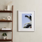 "Palm I" - Art Print in Sky Blue by Annie Montgomery - In a Room