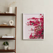 "Bright Bougainvillea" - Art Print in Bright Pink by The One With Wanderlust - In a Room