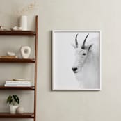 "Fierce" - Art Print in Mountain Granite by Jamie Lollback - In a Room