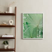 "Yucatan VII" - Art Print in Jungle Green by Lindsay Ferraris Photography - In a Room