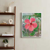 "Yucatan VIII" - Art Print in Hibiscus by Lindsay Ferraris Photography - In a Room