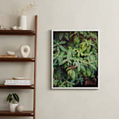 "Northwest Greens" - Art Print in Avocado Green by CedarandGrey - In a Room